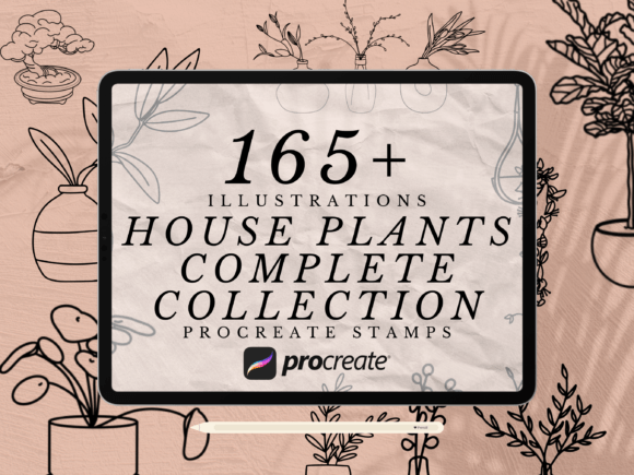Download 165+ House Plants Procreate Stamps - Stamps Collection