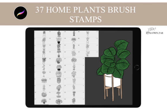 Download Home Plants Stamps Brushes for Procreate - Stamps Collection